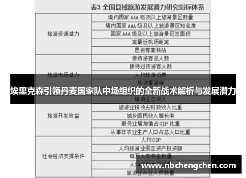 埃里克森引领丹麦国家队中场组织的全新战术解析与发展潜力