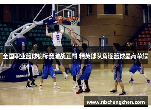 全国职业篮球锦标赛激战正酣 精英球队角逐篮球最高荣耀