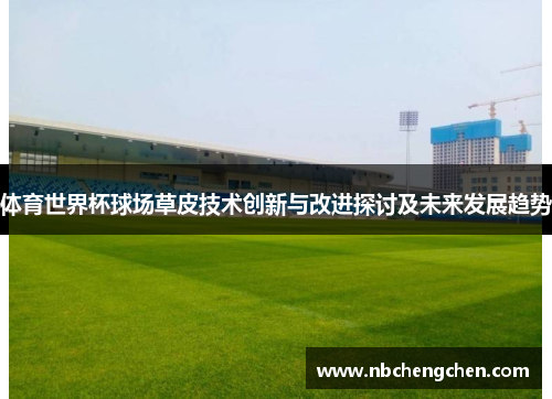 体育世界杯球场草皮技术创新与改进探讨及未来发展趋势