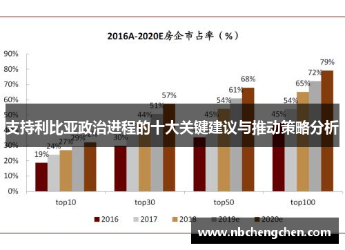 支持利比亚政治进程的十大关键建议与推动策略分析