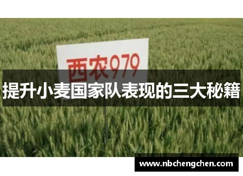 提升小麦国家队表现的三大秘籍 提升小麦国家队表现的三大秘籍